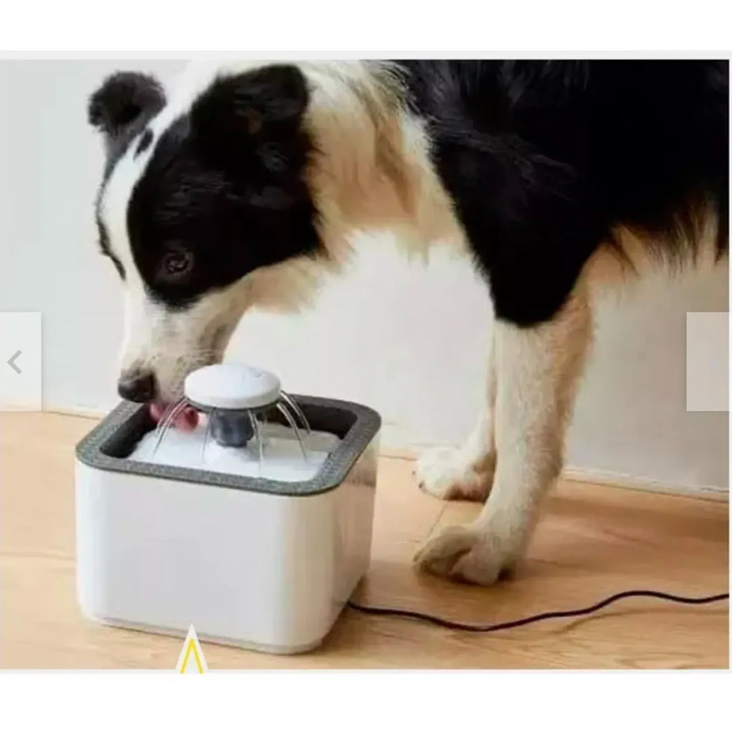 Fuente De Agua Para Gatos Perros Bebedero Para Mascotas